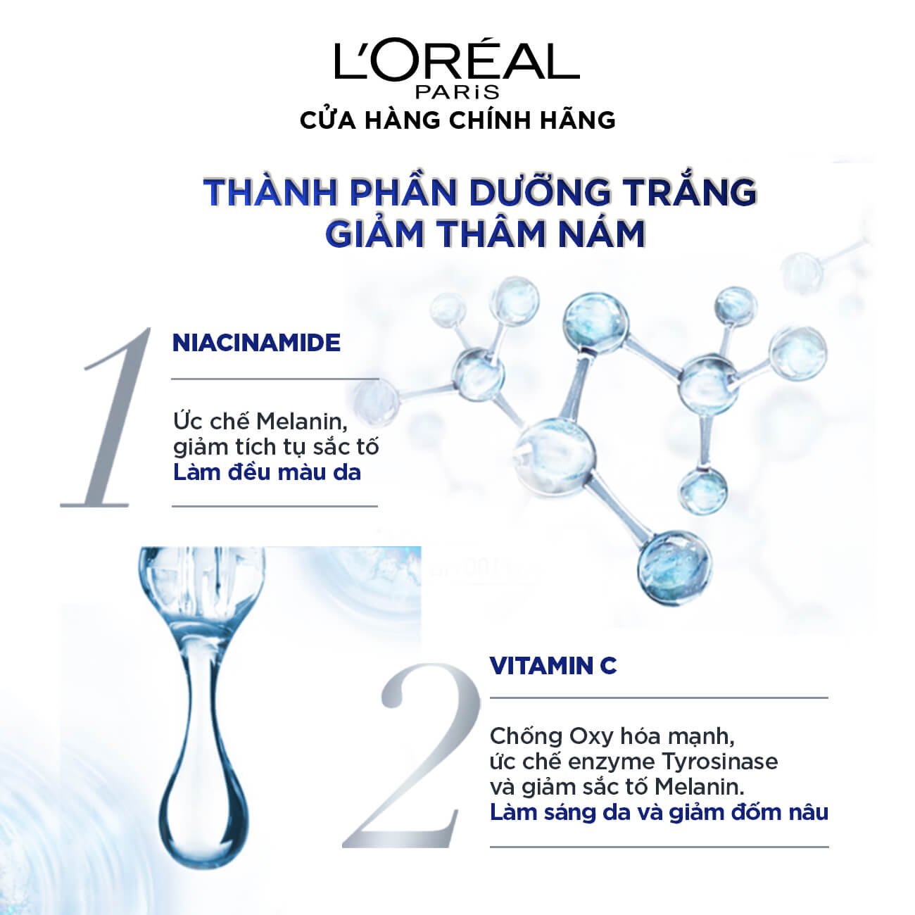 Complementary Image 3